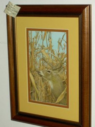 Deer In The Corn Field Original Colored Pencil Drawing by Larry Peterson