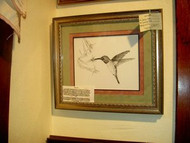 Hummingbird Original Pen & Ink Drawing by Sherry Howe