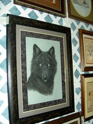 Black Wolf Framed Original Pastel Drawing by the Porter Family