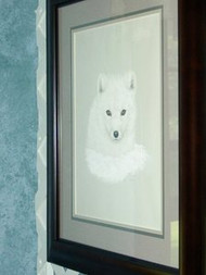 Arctic Fox Framed Original Pastel by the Porter Family