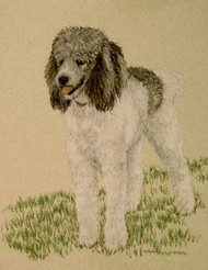 Poodle Gray and White Original Pastel Drawing by the Porter Family