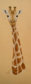 Porter Family Original Pastel Drawing Giraffe