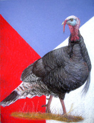 Original Pastel Drawing Patriotic American Wild Turkey