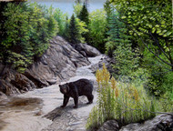 Original Watercolor & Acrylic Painting Black Bear & River Scene