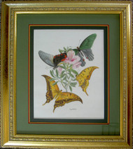 Framed Original Colored Pencil Butterflies and Flowers