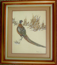 Framed Original Watercolor Ring-necked Pheasant