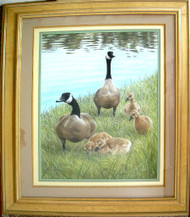 Framed Original Pastel Drawing Canada Geese Family