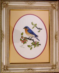Framed Original Pastel Drawing Bluebird On Apple Branch