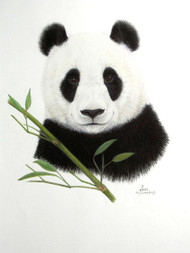 Original Pastel Drawing Giant Panda with Bamboo