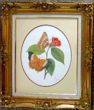 Framed Original Colored Pencil Chinese Butterflies