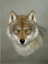 Original Pastel Drawing Gray Wolf