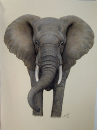 Original Pastel Drawing African Elephant