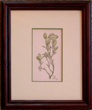Bog Whortleberry Framed Original Colored Pencil Drawing by Larry Peterson