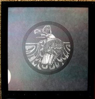 Eagle Framed Scratch Board by Myra Nye