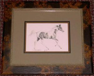 Foal Running Framed Pencil Drawing by Michelle Stuart