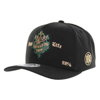 BBB005 HIGH LIFE, HYDRO-BLACK