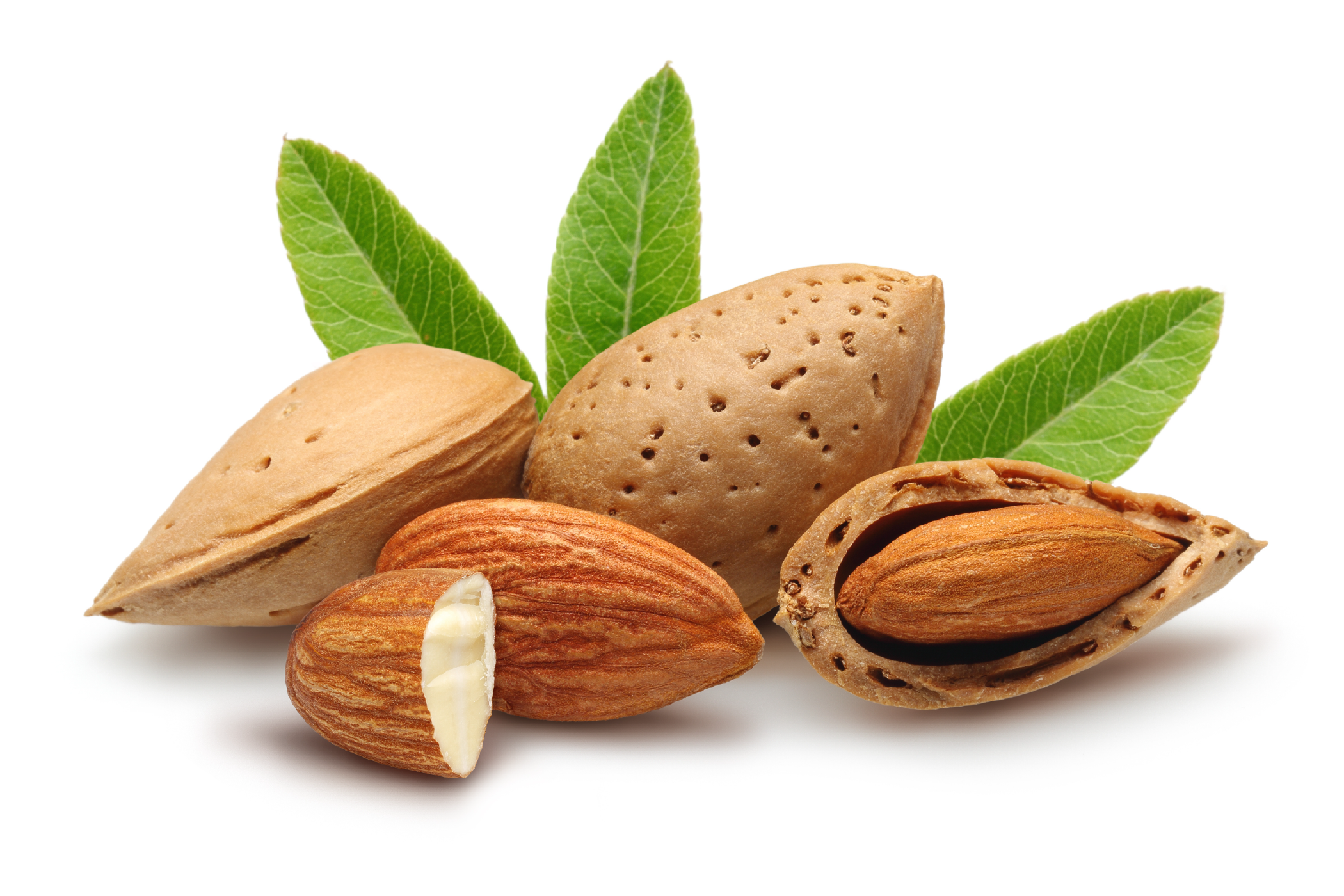 almond.png