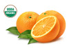 100% Pure Organic Orange Essential Oil
