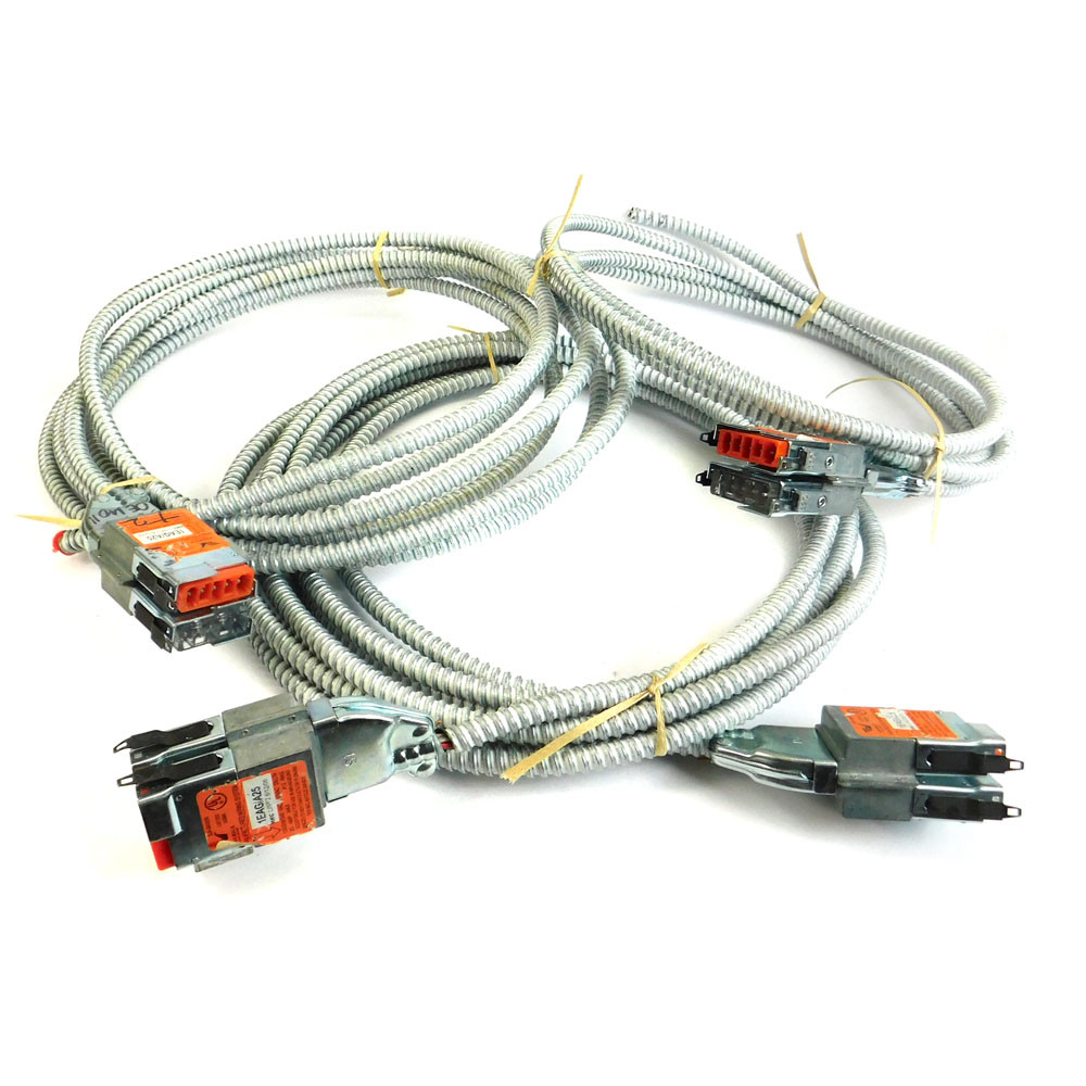 AFC 1EAG/A25 Extender Cable Whips 20A 120/208/240 VAC 12 AWG (3)
