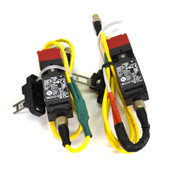 Omron D4NS-9BF Key/Tongue Non-Locking Interlock Door Switch w/ Plug (2)
