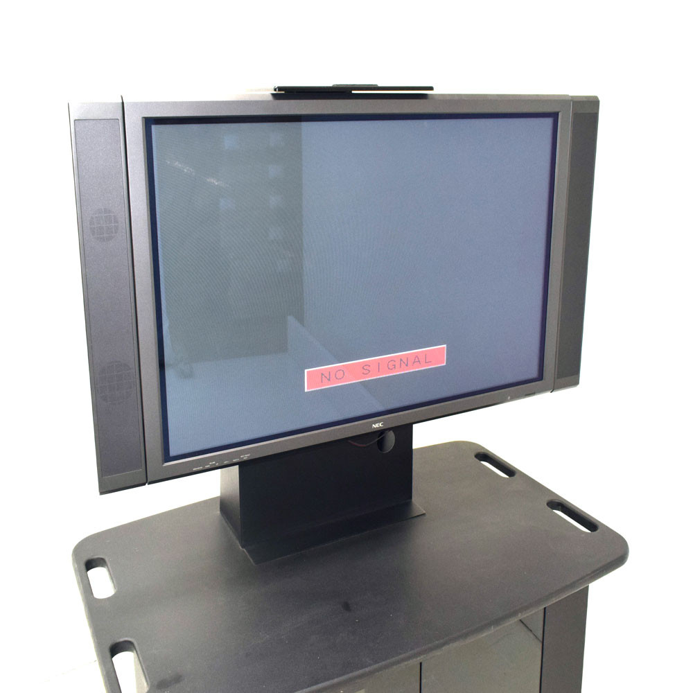 Plasma Computer Monitor