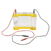 Owl Separation Systems B2 EasyCast Mini Gel Electrophoresis System 2 Comb Slots