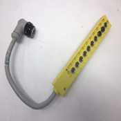 Brad Harrison BG19955-M002 M8 10-Port MPIS DeviceNet 90D .2M End Cable
