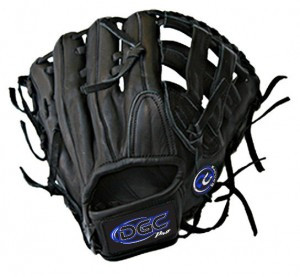 H WEB Custom Fielders Glove