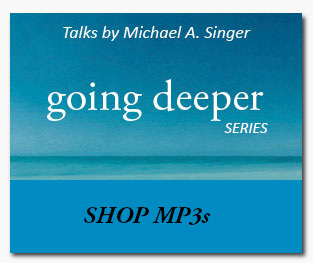 Shop-Going Deeper Series