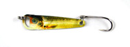 God's Tooth Spoon - Gold Shiner