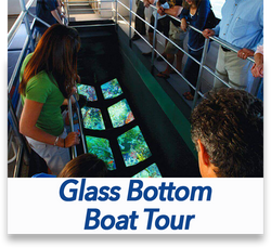 Glass Bottom Boat Tour