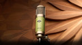 UA Bock 187 FET Condenser Microphone