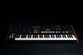 Moog Muse 8 voice analog synthesizer