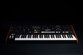 Moog Muse 8 voice analog synthesizer (demo)