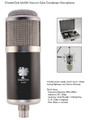 Charter Oak SA 538 Tube Microphone
