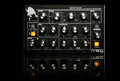 Moog Minitaur Analog Bass synthesizer