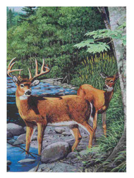 Evergreen White Tail Deer Large Fabric Green Flag 29 By 43 Inch