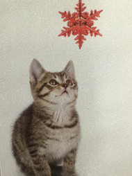 Trimmerry White Sparkle Baby Kitten Christmas Cards Cat with Holiday Ornament