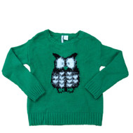 Heart-n-Crush Girls Green Owl Pullover Sweater