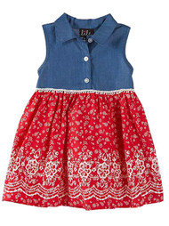 Infant Girls Denim & Red Floral Print Baby Dress Sundress
