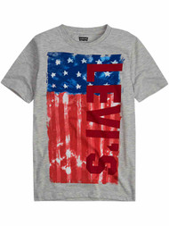 Boys Levi's Gray Blue & Red Patriotic Faded Flag T-Shirt