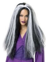 Womens Long Silver & Black Witch Wig 24" long