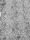 Image 2 Image 2