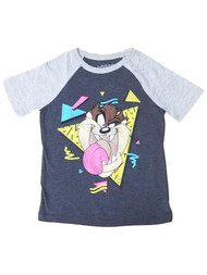 Taz Boys Gray Short Sleeve Tasmanian Devil T-Shirt Tee Shirt