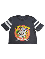 Junior Womens Looney Tunes That's All Folks Grey Crop T-Shirt Shirt Top
