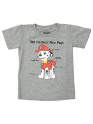 Paw Patrol Boys Gray Short Sleeve Marshall Perfect Fire Pup T-Shirt Tee Shirt