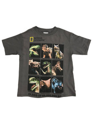 National Geographic Boys Gray Short Sleeved Dinosaur Tee Shirt T-Shirt