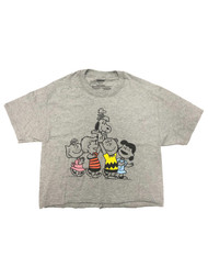 Peanuts Junior Womens Gray Snoopy & Charlie Brown Crop Top Tee Shirt