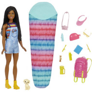 Barbie It Takes Two Brooklyn Camping Doll with Puppy &  Accessories, Black Doll