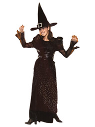 Womens Black Sparkle Witch Costume Dress & Hat Outfit